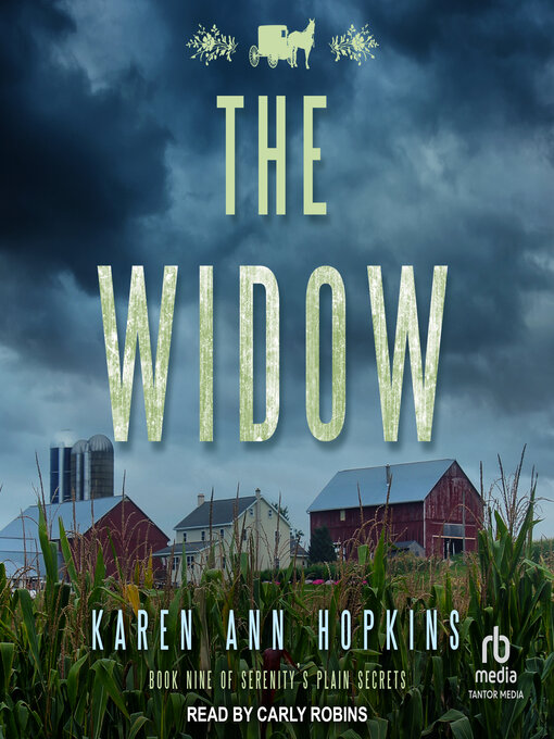 Title details for The Widow by Karen Ann Hopkins - Wait list